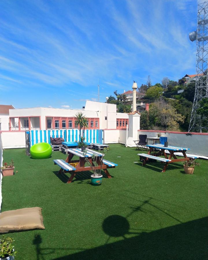 Crashpalace Backpackers Napier Esterno foto